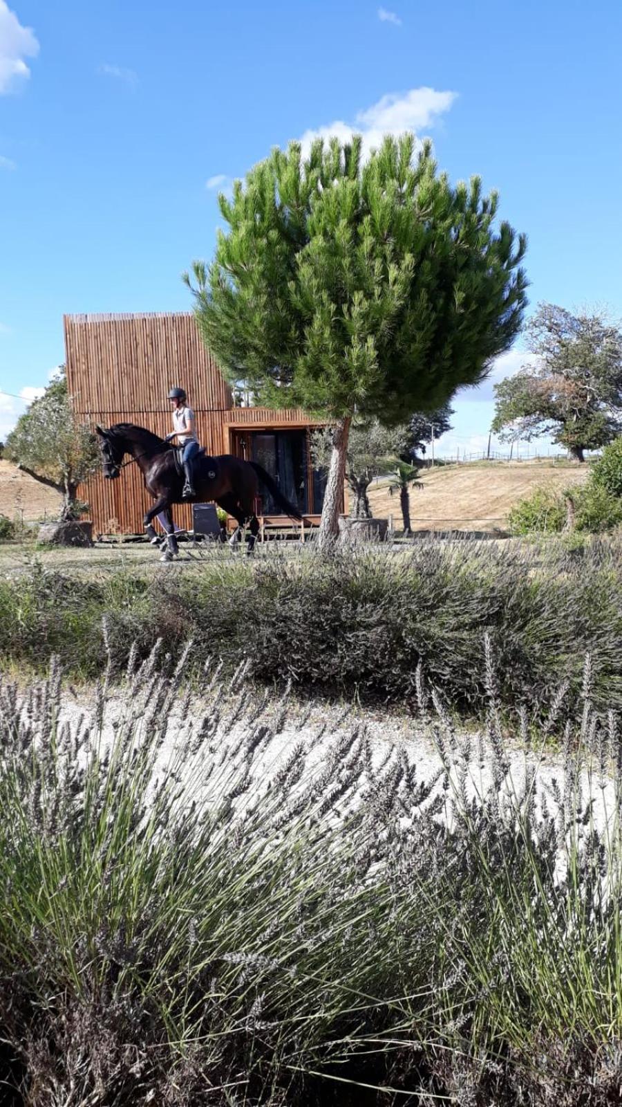 Manege De La Chapiniere - Dadaloge Tiny-House Βίλα Châteauvieux Εξωτερικό φωτογραφία