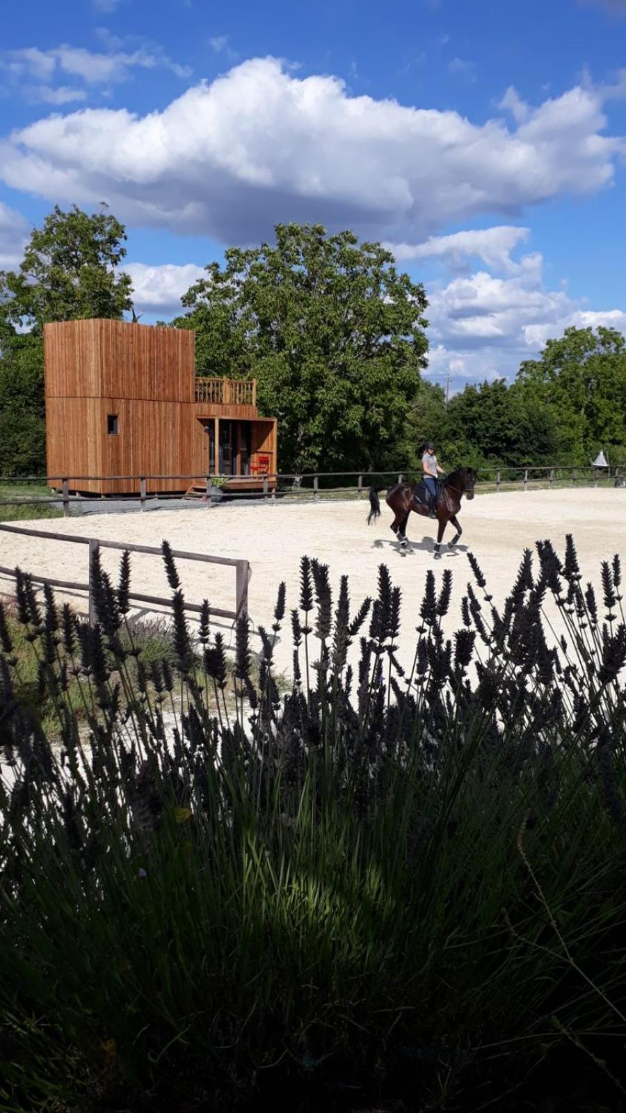 Manege De La Chapiniere - Dadaloge Tiny-House Βίλα Châteauvieux Εξωτερικό φωτογραφία