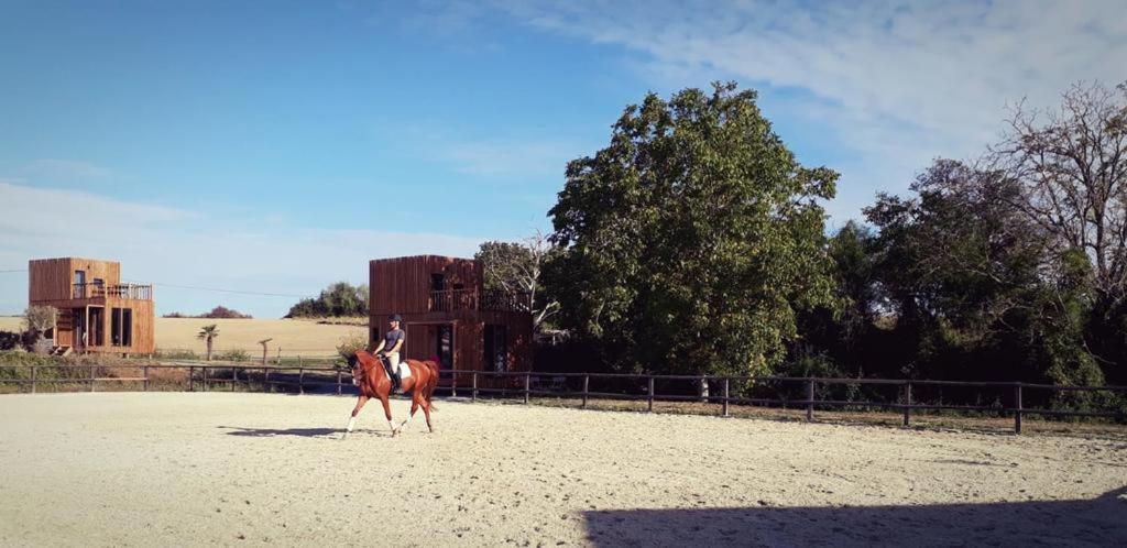 Manege De La Chapiniere - Dadaloge Tiny-House Βίλα Châteauvieux Εξωτερικό φωτογραφία