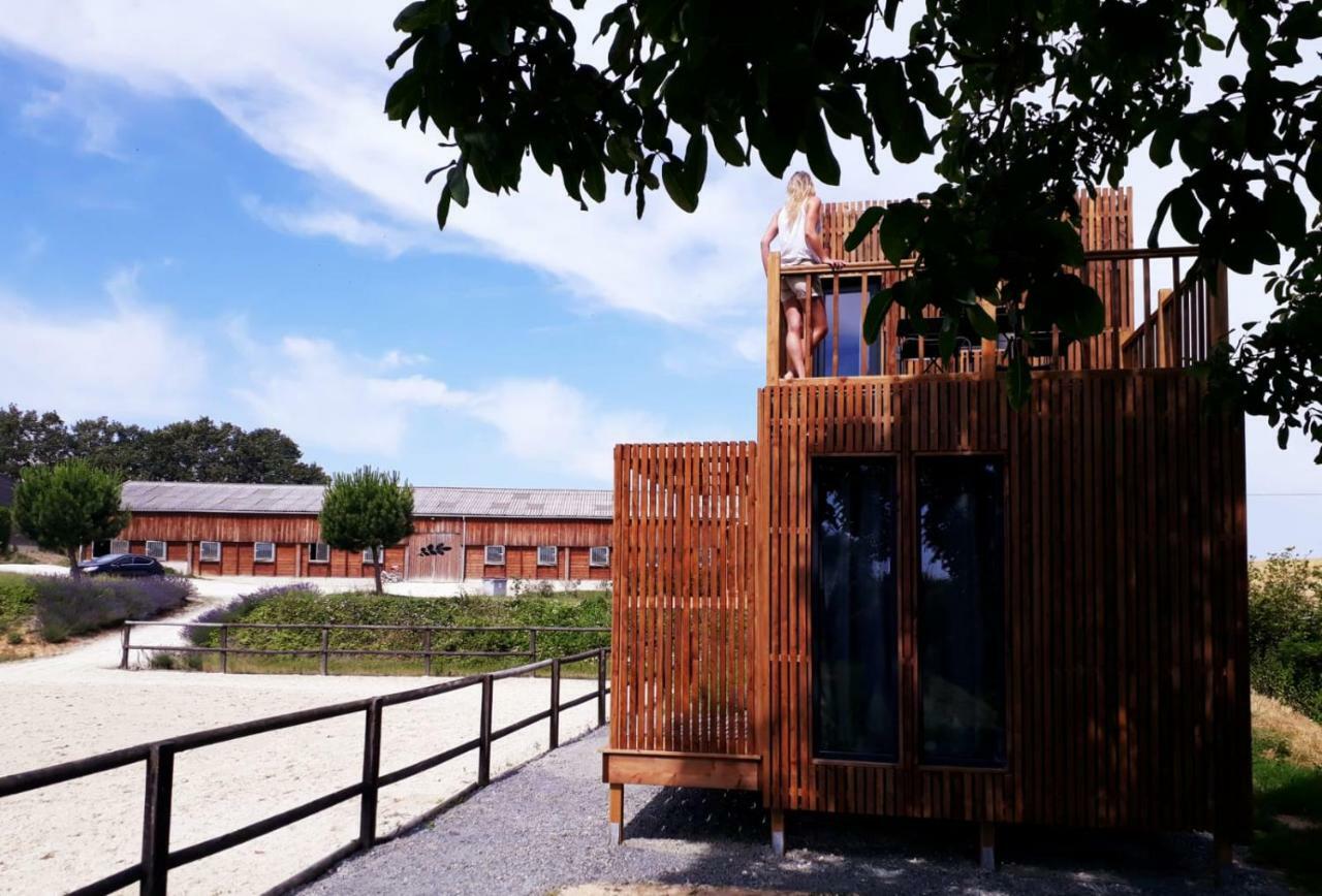 Manege De La Chapiniere - Dadaloge Tiny-House Βίλα Châteauvieux Εξωτερικό φωτογραφία